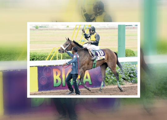 Raeven Renae (Shane Ellis) makes that joyful trip to the winner’s enclosure.