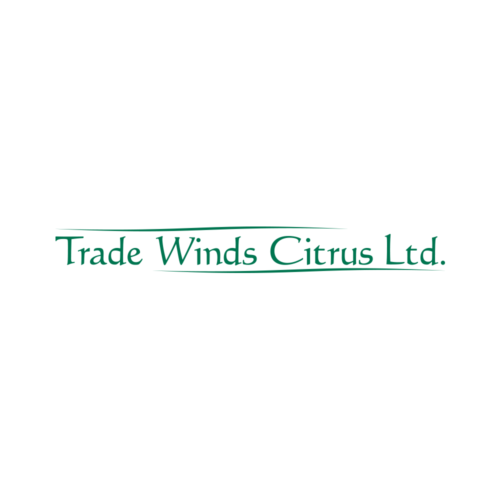 Trade Winds youtube logo Trade Winds youtube logo